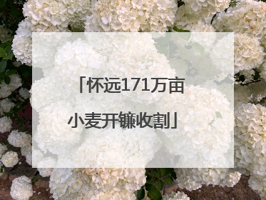 怀远171万亩小麦开镰收割