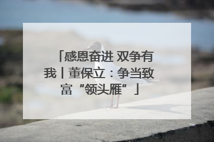 感恩奋进 双争有我丨董保立：争当致富“领头雁”