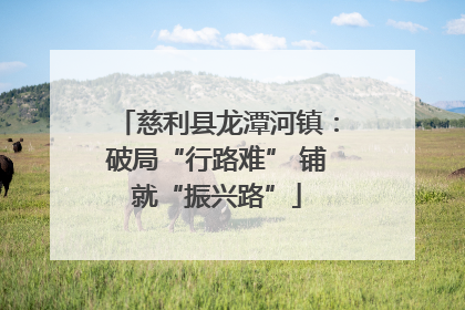 慈利县龙潭河镇：破局“行路难” 铺就“振兴路”