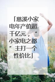 慈溪小家电年产值超千亿元，“小家电之都”主打一个性价比