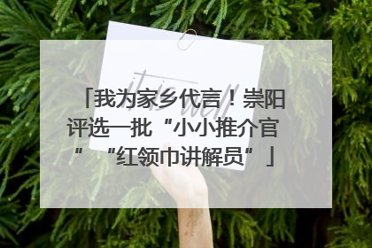 我为家乡代言！崇阳评选一批“小小推介官”“红领巾讲解员”