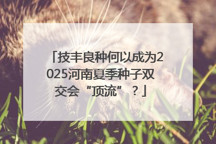 技丰良种何以成为2025河南夏季种子双交会“顶流”？