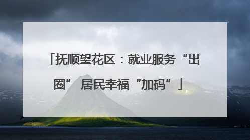 抚顺望花区：就业服务“出圈” 居民幸福“加码”