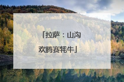 拉萨：山沟欢腾赛牦牛