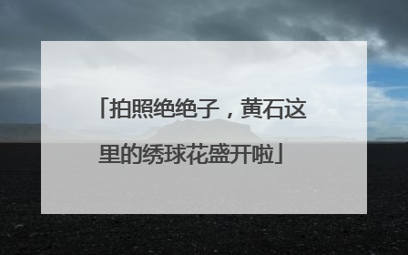 拍照绝绝子，黄石这里的绣球花盛开啦