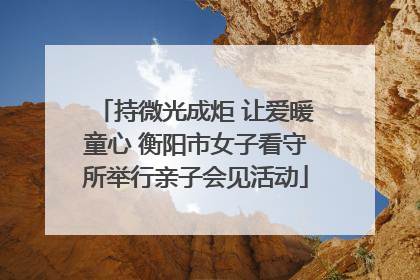 持微光成炬 让爱暖童心 衡阳市女子看守所举行亲子会见活动