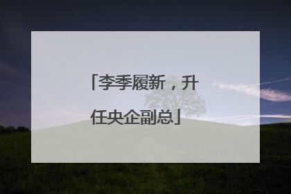 李季履新，升任央企副总