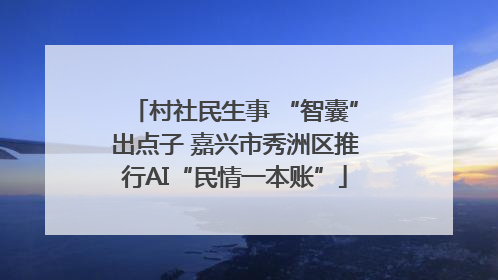 村社民生事 “智囊”出点子 嘉兴市秀洲区推行AI“民情一本账”