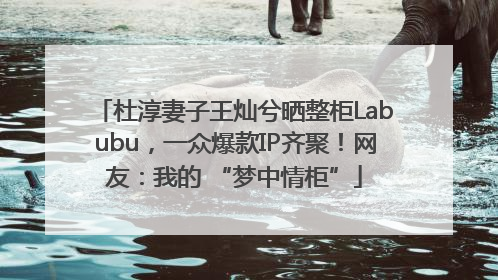 杜淳妻子王灿兮晒整柜Labubu，一众爆款IP齐聚！网友：我的 “梦中情柜”