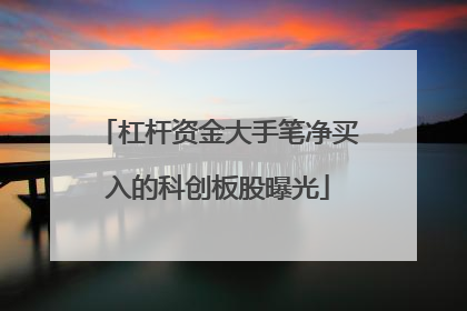 杠杆资金大手笔净买入的科创板股曝光