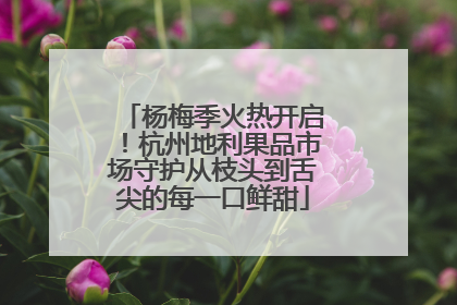 杨梅季火热开启！杭州地利果品市场守护从枝头到舌尖的每一口鲜甜