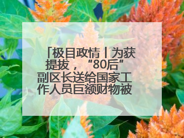 极目政情丨为获提拔，“80后”副区长送给国家工作人员巨额财物被“双开”