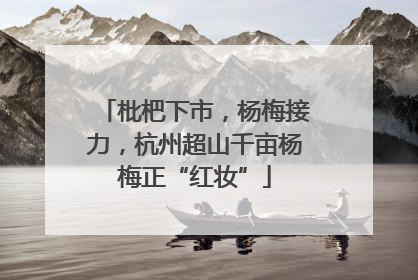 枇杷下市，杨梅接力，杭州超山千亩杨梅正“红妆”