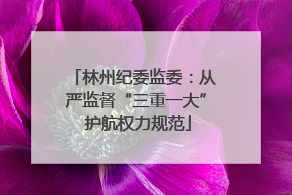 林州纪委监委：从严监督“三重一大” 护航权力规范