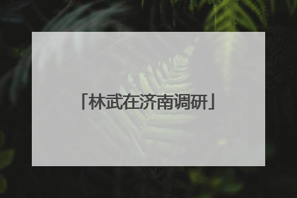 林武在济南调研
