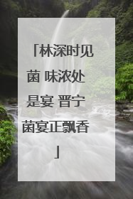 林深时见菌 味浓处是宴 晋宁菌宴正飘香