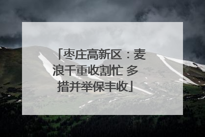 枣庄高新区：麦浪千重收割忙 多措并举保丰收