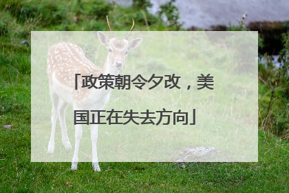 政策朝令夕改，美国正在失去方向