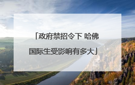 政府禁招令下 哈佛国际生受影响有多大