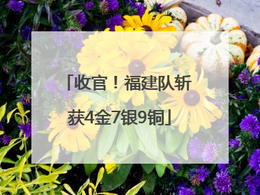 收官！福建队斩获4金7银9铜
