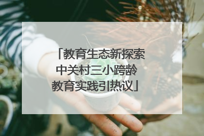 教育生态新探索 中关村三小跨龄教育实践引热议