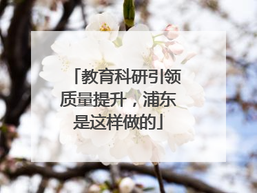 教育科研引领质量提升，浦东是这样做的