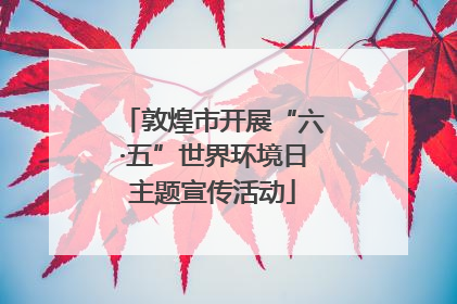 敦煌市开展“六·五”世界环境日主题宣传活动