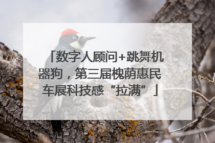 数字人顾问+跳舞机器狗，第三届槐荫惠民车展科技感“拉满”