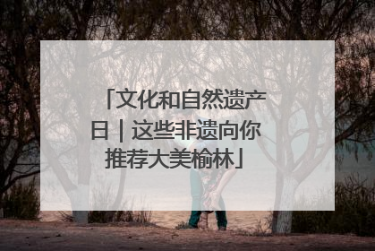 文化和自然遗产日｜这些非遗向你推荐大美榆林