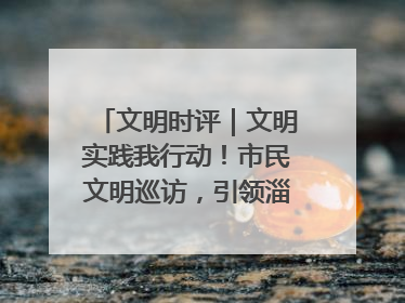 文明时评｜文明实践我行动！市民文明巡访，引领淄博全民志愿