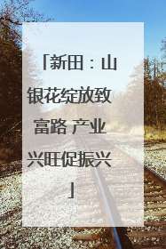 新田：山银花绽放致富路 产业兴旺促振兴