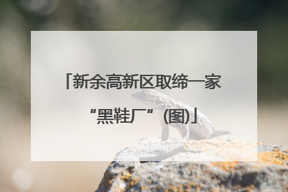 新余高新区取缔一家“黑鞋厂”(图)