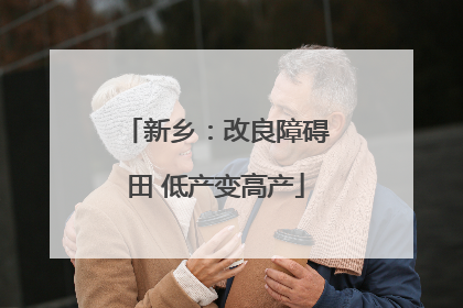新乡：改良障碍田 低产变高产