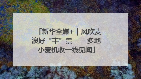 新华全媒+｜风吹麦浪好“丰”景——多地小麦机收一线见闻