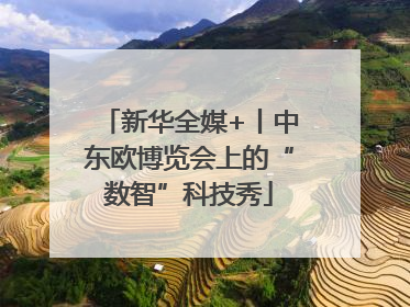 新华全媒+丨中东欧博览会上的“数智”科技秀