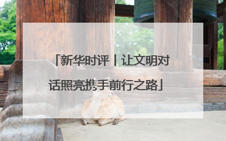 新华时评丨让文明对话照亮携手前行之路