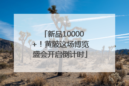 新品10000+！黄陂这场博览盛会开启倒计时