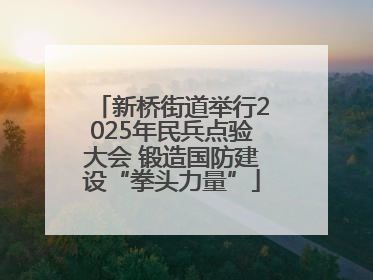 新桥街道举行2025年民兵点验大会 锻造国防建设“拳头力量”