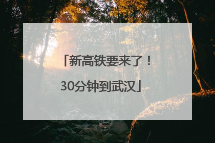 新高铁要来了！30分钟到武汉