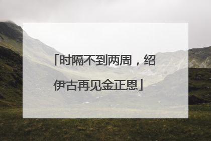 时隔不到两周，绍伊古再见金正恩