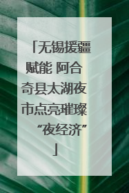 无锡援疆赋能 阿合奇县太湖夜市点亮璀璨“夜经济”