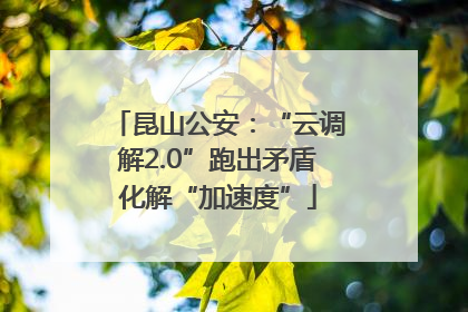 昆山公安：“云调解2.0”跑出矛盾化解“加速度”