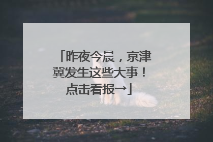 昨夜今晨，京津冀发生这些大事！点击看报→