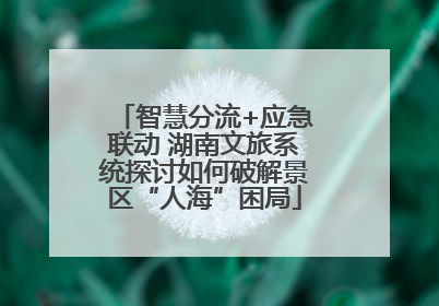 智慧分流+应急联动 湖南文旅系统探讨如何破解景区“人海”困局
