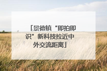 景德镇“即拍即识”新科技拉近中外交流距离