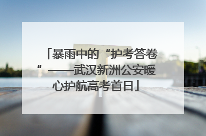 暴雨中的“护考答卷”——武汉新洲公安暖心护航高考首日