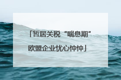 暂居关税“喘息期” 欧盟企业忧心忡忡