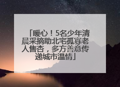 暖心！5名少年清晨采摘助北宅孤寡老人售杏，多方善意传递城市温情