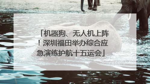 机器狗、无人机上阵！深圳福田举办综合应急演练护航十五运会