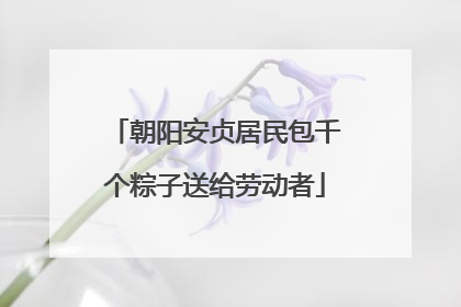 朝阳安贞居民包千个粽子送给劳动者